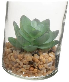 Műnövény szett 4 db-os (magasság 12 cm) Cactus – Casa Selección