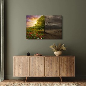 Kép - Életciklus (90x60 cm)