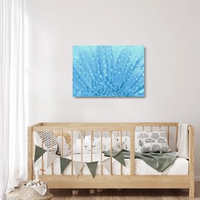 Üveg kép - Makro felvétel egy virágról (70x50 cm)