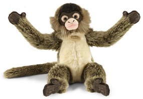 Rappa Plüss chápan 30 cm ECO-FRIENDLY