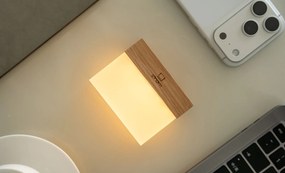 Gingko CuraCheese lámpa, több változatban - Ginkgo variáns: hamu