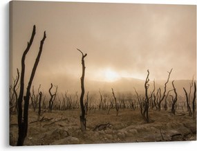 Kép - Csupasz fák (70x50 cm)