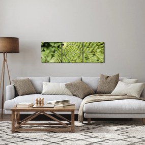Kép - Páfránylevél (órával) (90x30 cm)