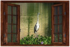 Poszterek 60x40 Kalapos madár Tájkép Kilátás