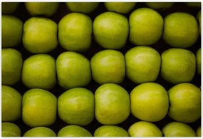 Poszterek 200x135 Zöld alma Alma