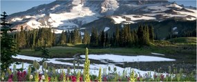 Kép - Mount Rainier (120x50 cm)