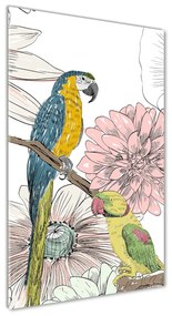 Üvegkép Papagájok és virágok osv-110762847
