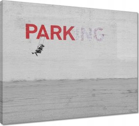 Vászonkép 50x40 Banksy Parkoló
