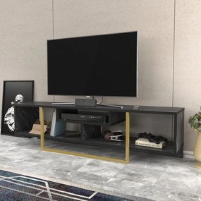 TV szekrény Asal 150 - Black, Gold