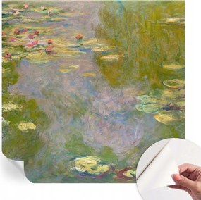 Öntapadós Dekoratív Fotótapéta Hálószobába Vízi liliomok 250x250 cm