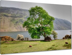 Festmények 120x80 Erős fa