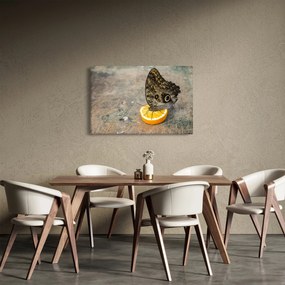 Pillangó képe (90x60 cm)