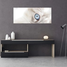 Kép - Kék szemű macska (120x50 cm)