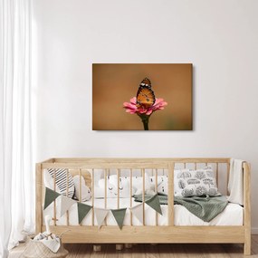 Pillangó képe a virágon (90x60 cm)