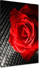 Vászonkép 80x120 Piros a szürkeség között