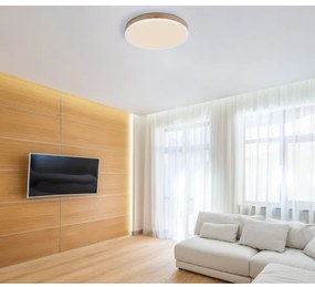 Globo 416080WWD2R - LED Mennyezeti lámpa DORO LED/24W/230V átm. 45 cm