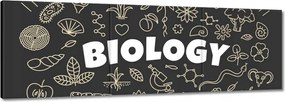 Vászonkép 90x30 Biológiai osztály motívum