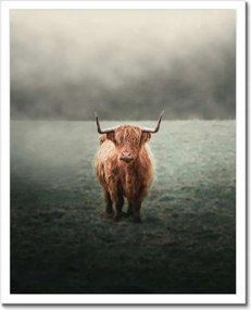 Poszterek keretben 40x50 Mint a szarvak Hegyi rét