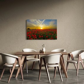 Egy kép a pipacs mezőről (90x60 cm)