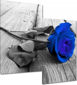 Vászonkép 60x60 Kék rózsa Ajándék