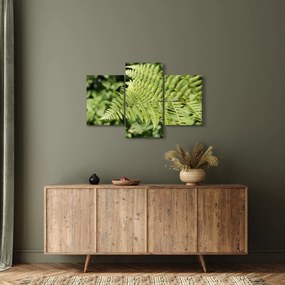 Kép - Páfránylevél (90x60 cm)