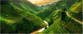 Kép - Mu Cang Chai rizsteraszok (120x50 cm)