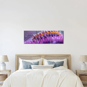 Kép - Caterpillar (órával) (90x30 cm)