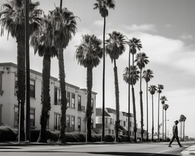 Poszter 50x40cm Séta a pálmafák árnyékában