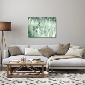 Üveg kép - Zöld rét (70x50 cm)