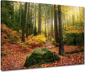 Vászonkép 80x60 Tájkép