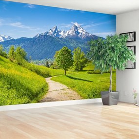 Fotótapéta nyáron Alps 104x70 cm