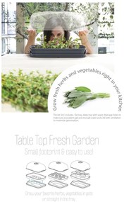 Prosperplast RESPANA TABLE GREENHOUSE palántázó antracit 39,1 cm
