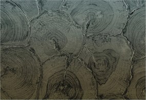 Fotótapéta Flizelin Dekoratív Hálószoba Fa tégelyek 152x104