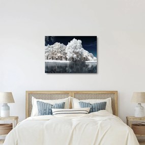 Üveg kép - Hófehér fák (70x50 cm)