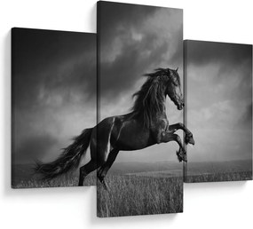 Kép - Fekete-fehér ló (90x60 cm)