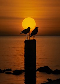 Poszter 25x35cm Beszélgetések alkonyatkor