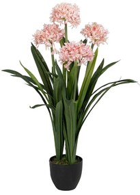 Művirág (magasság 100 cm) Hyacinth – Ixia