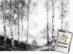 FotĂłtapĂ©ta ErdĆ FĂĄk Fekete-fehĂ©r HĂĄlĂłszoba Nappali TapĂ©ta Flizelina 150x105