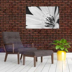Kép - Fekete-fehér virág (90x60 cm)