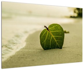 Kép egy levél a homokban (90x60 cm)