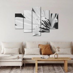 Kép - Fekete-fehér virág (150x105 cm)