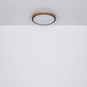 Globo 41764-12 - BRUNO LED mennyezeti lámpa 12W, 307 mm, 3000-6000K