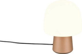 Trio STEEN 568200165 Asztali lámpa 1x10w/e14 ip20