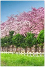 Poszterek 80x120 Cseresznye tájkép