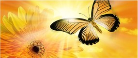 Kép - Sárga pillangó virággal (120x50 cm)