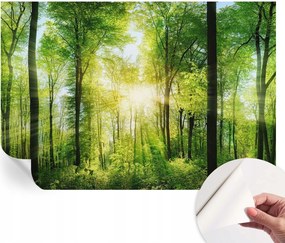 Fotótapéta Fali tapéta Hálószobába és Nappaliba Erdei harmónia 152x104 cm