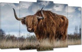 Vászonkép 100x60 Felvidéki tehén Szarvak