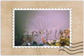 Poszterek 60x40 Pitypang pitypang