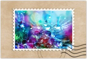 Poszterek 90x60 Pitypang Pitypangok