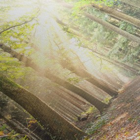 Egy ösvény képe az erdőben (órával) (90x30 cm)